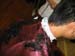 Weekend_2005-09-03 024